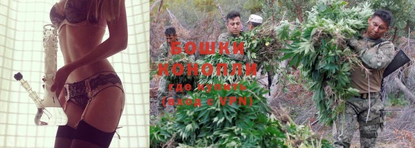 тгк Куйбышев